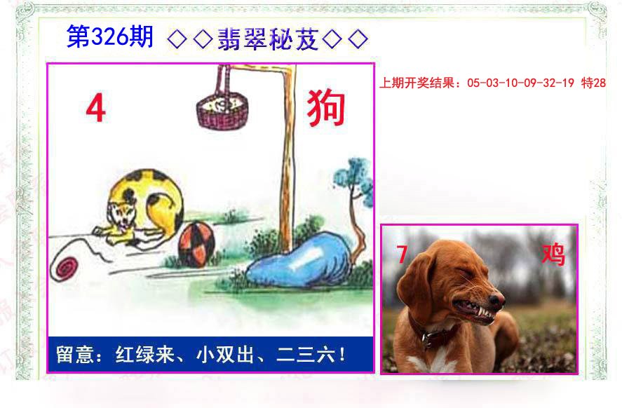 2024326期翡翠报