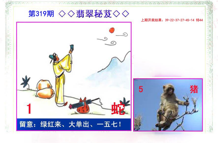 2024319期翡翠报