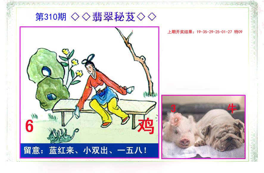 2024310期翡翠报
