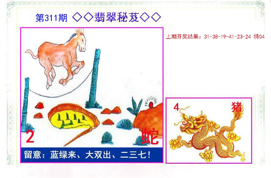 2024311期翡翠报