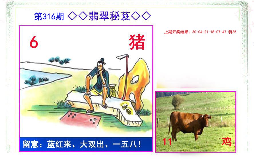 2024316期翡翠报