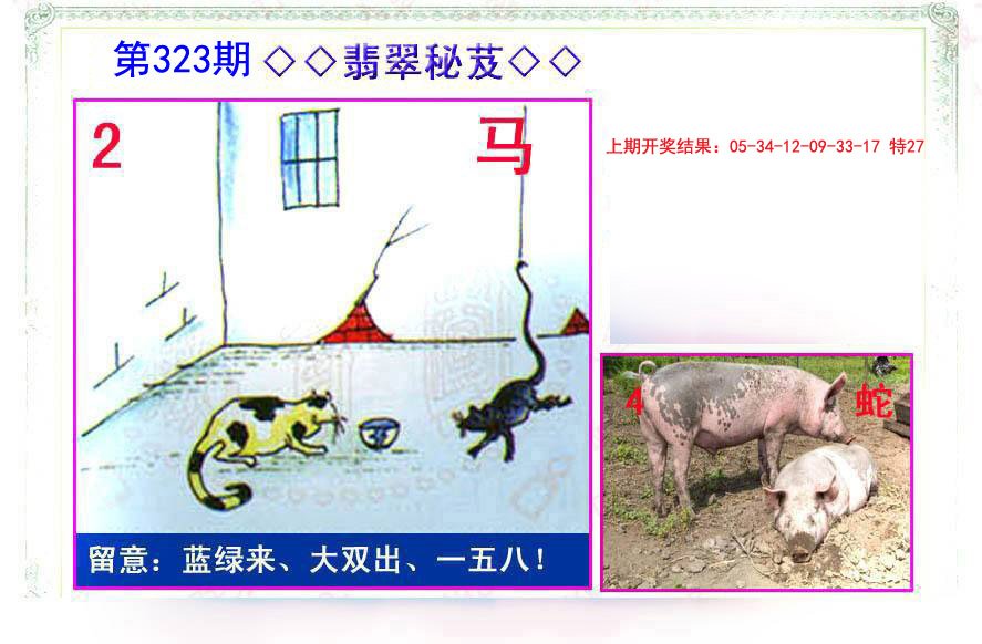 2024323期翡翠报