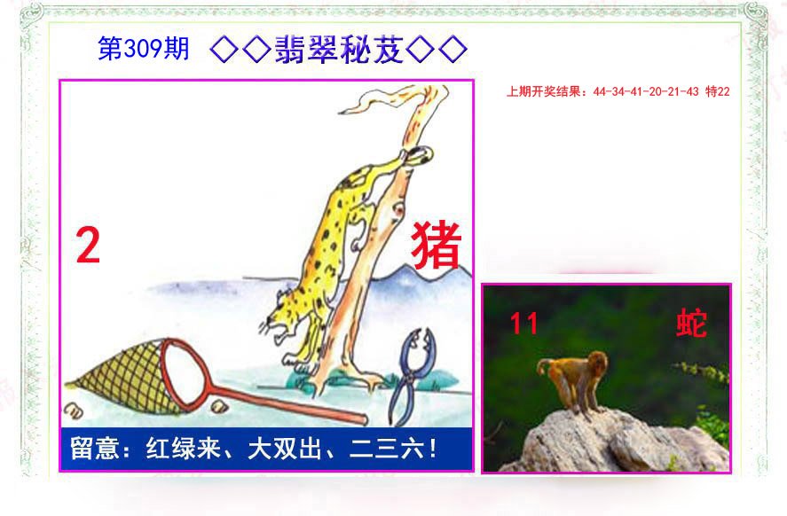 2024309期翡翠报
