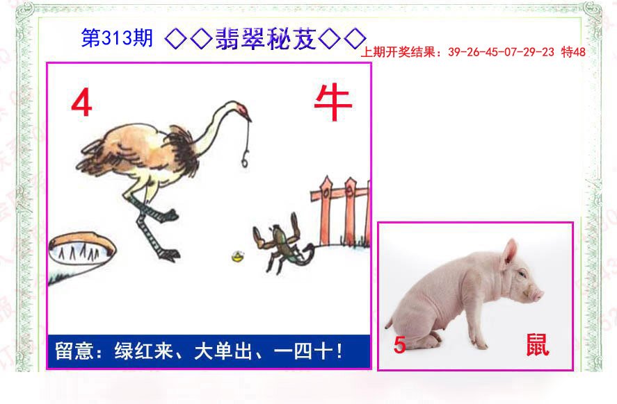 2024313期翡翠报