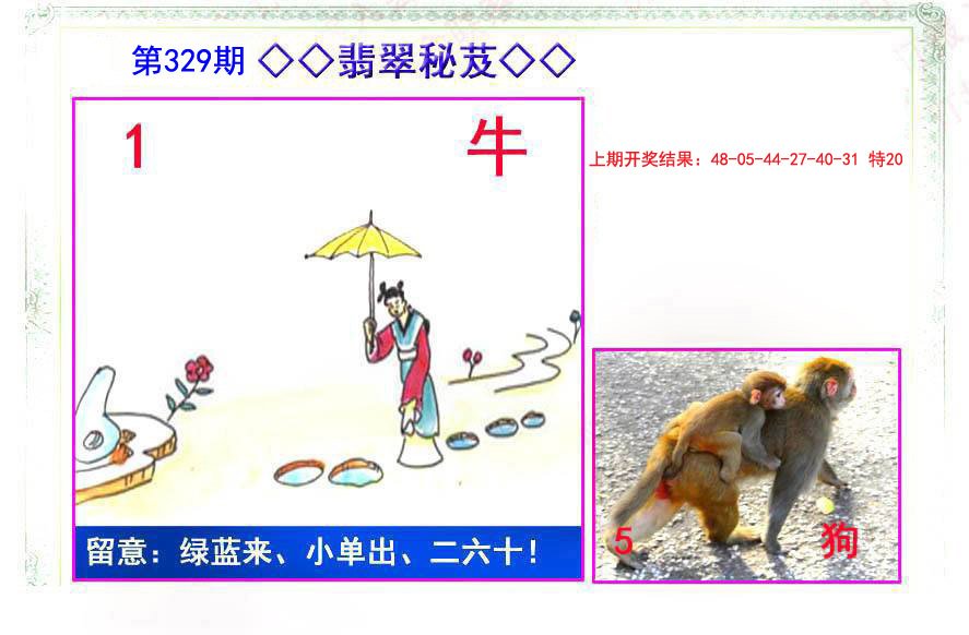2024329期翡翠报