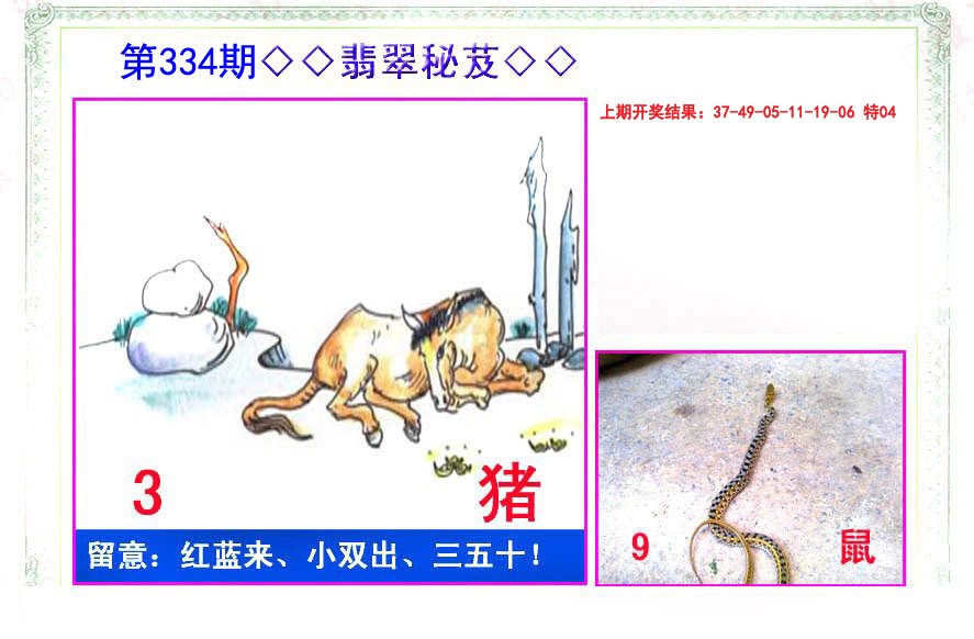 2024334期翡翠报