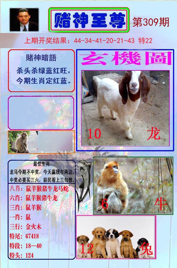 2024309期赌神至尊