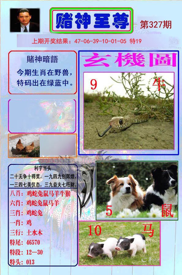 2024327期赌神至尊