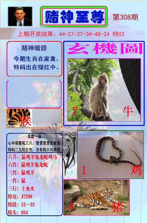 2024308期赌神至尊