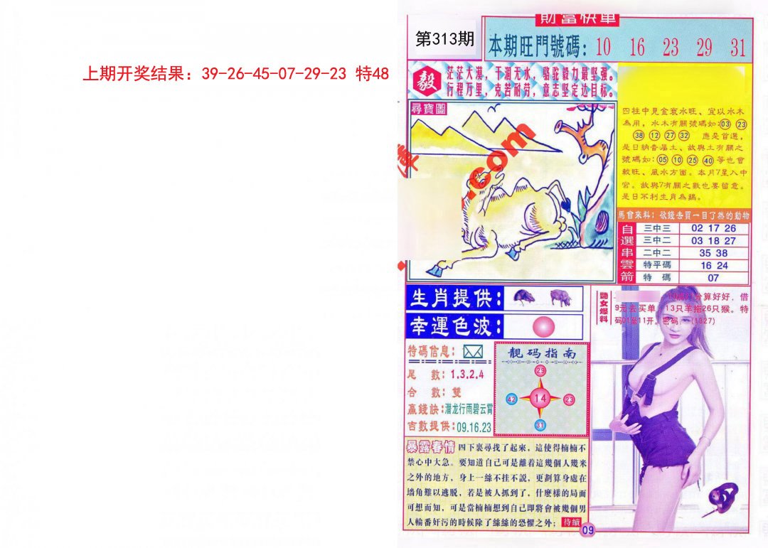 2024313期财富快车
