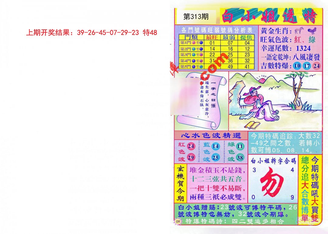 2024313期白小姐透特