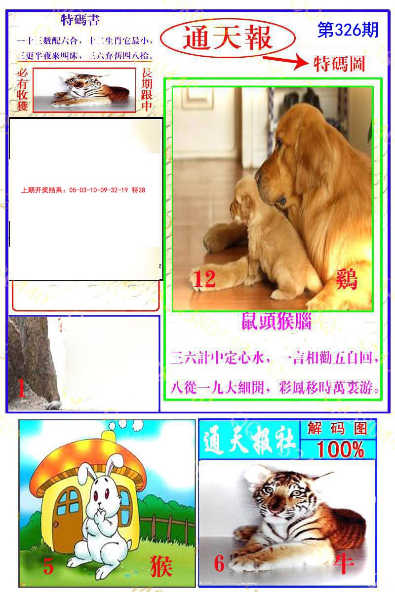2024326期通天特解图