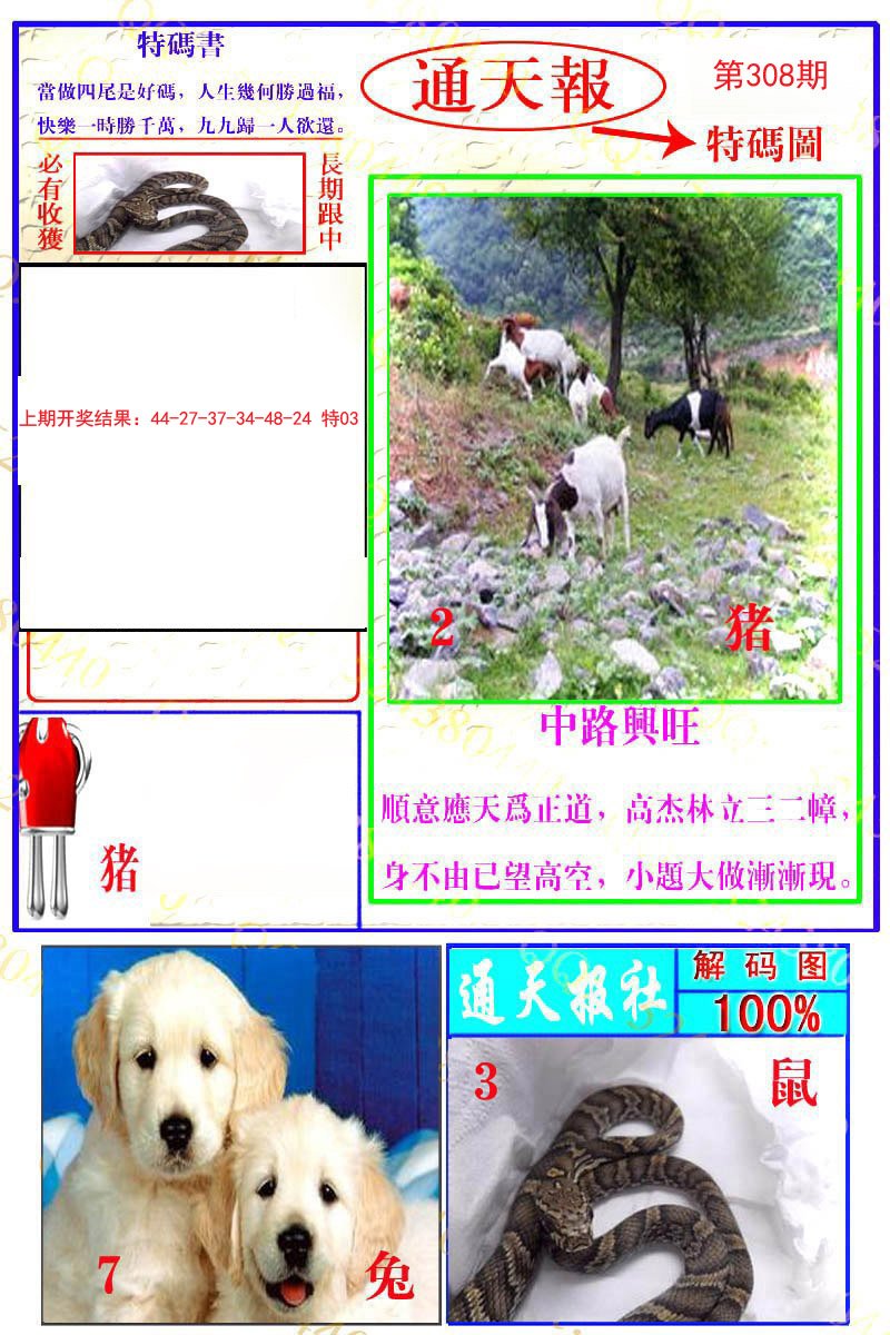 2024308期通天特解图