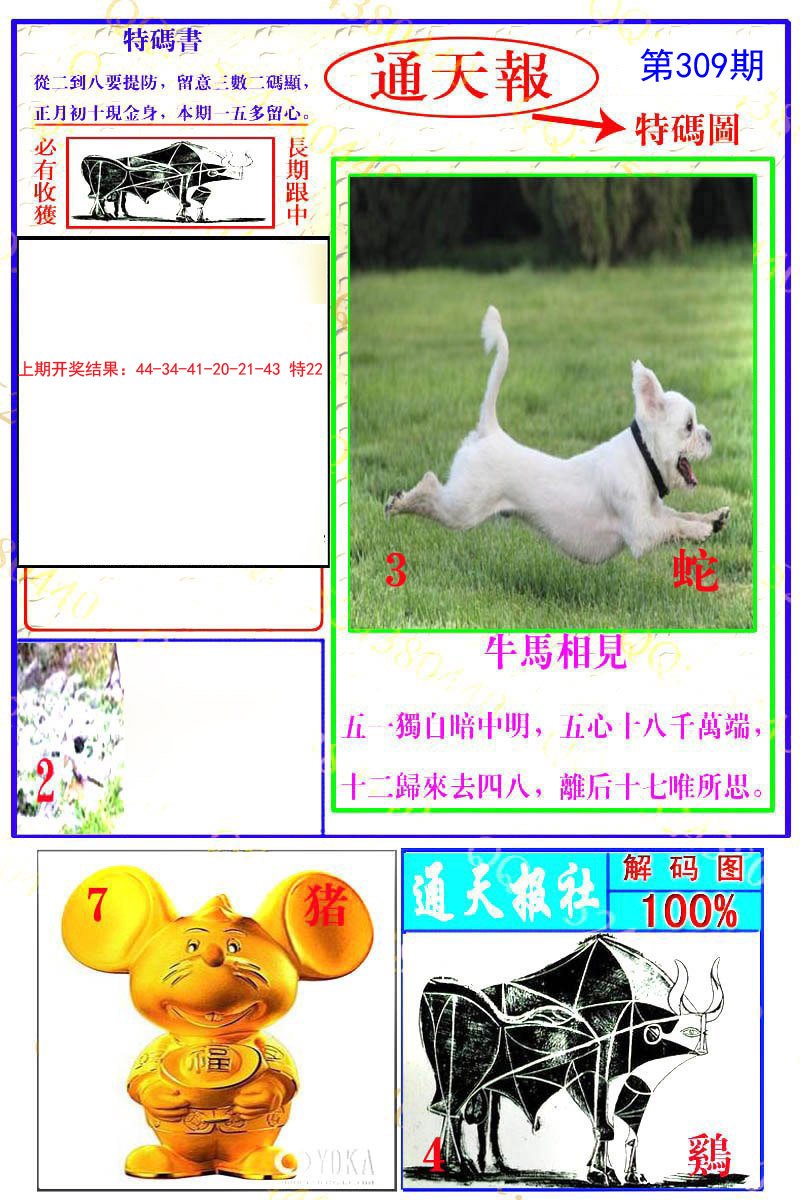2024309期通天特解图