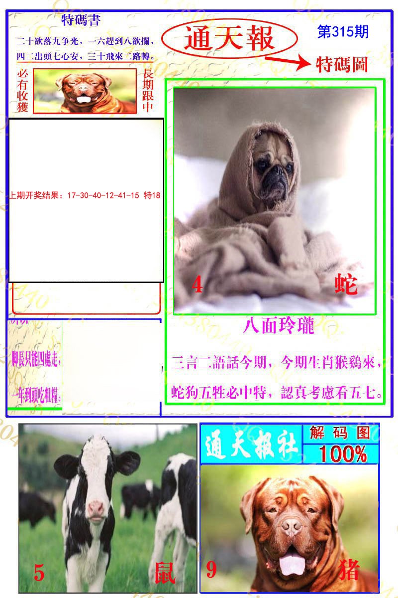 2024315期通天特解图