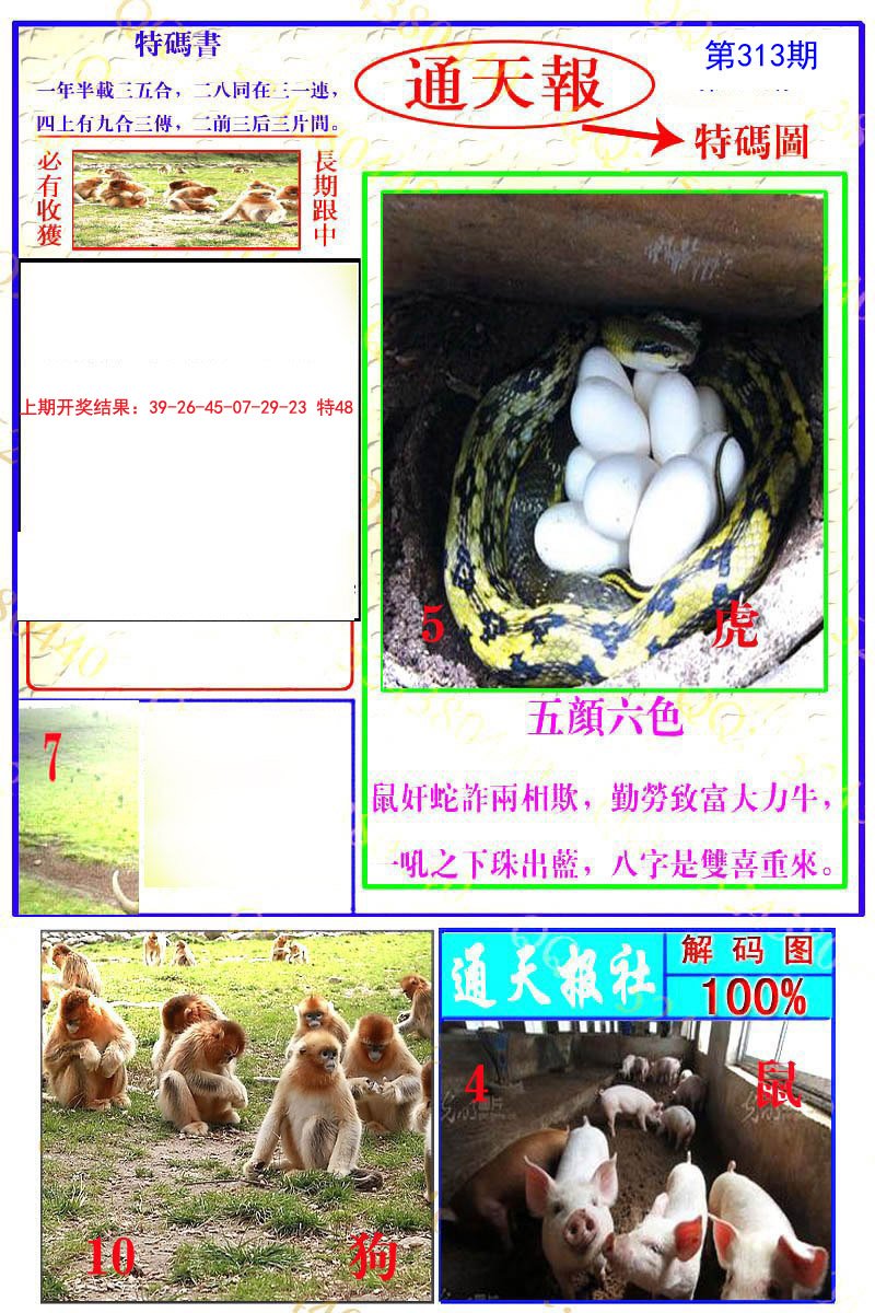 2024313期通天特解图