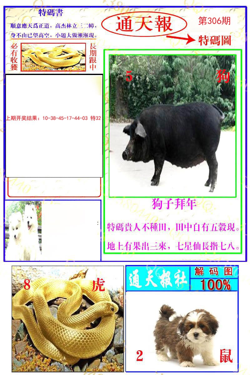 2024306期通天特解图