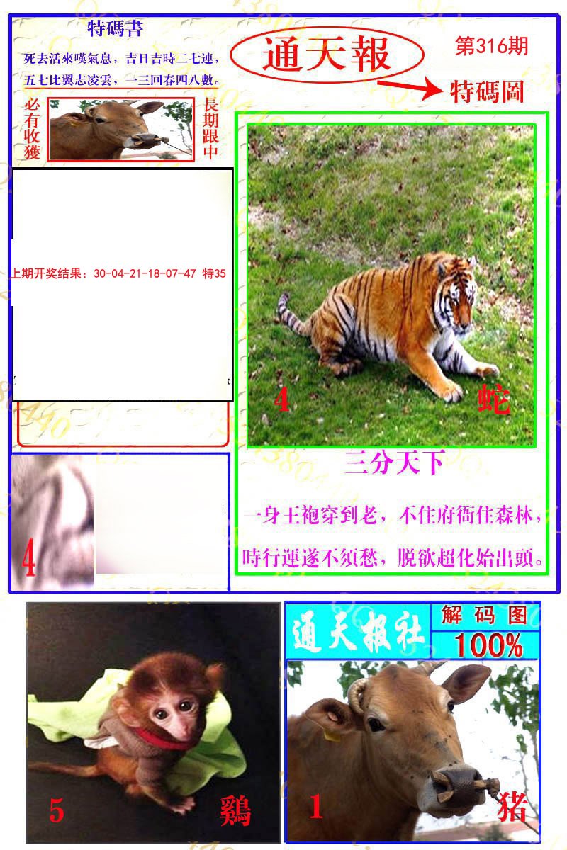 2024316期通天特解图