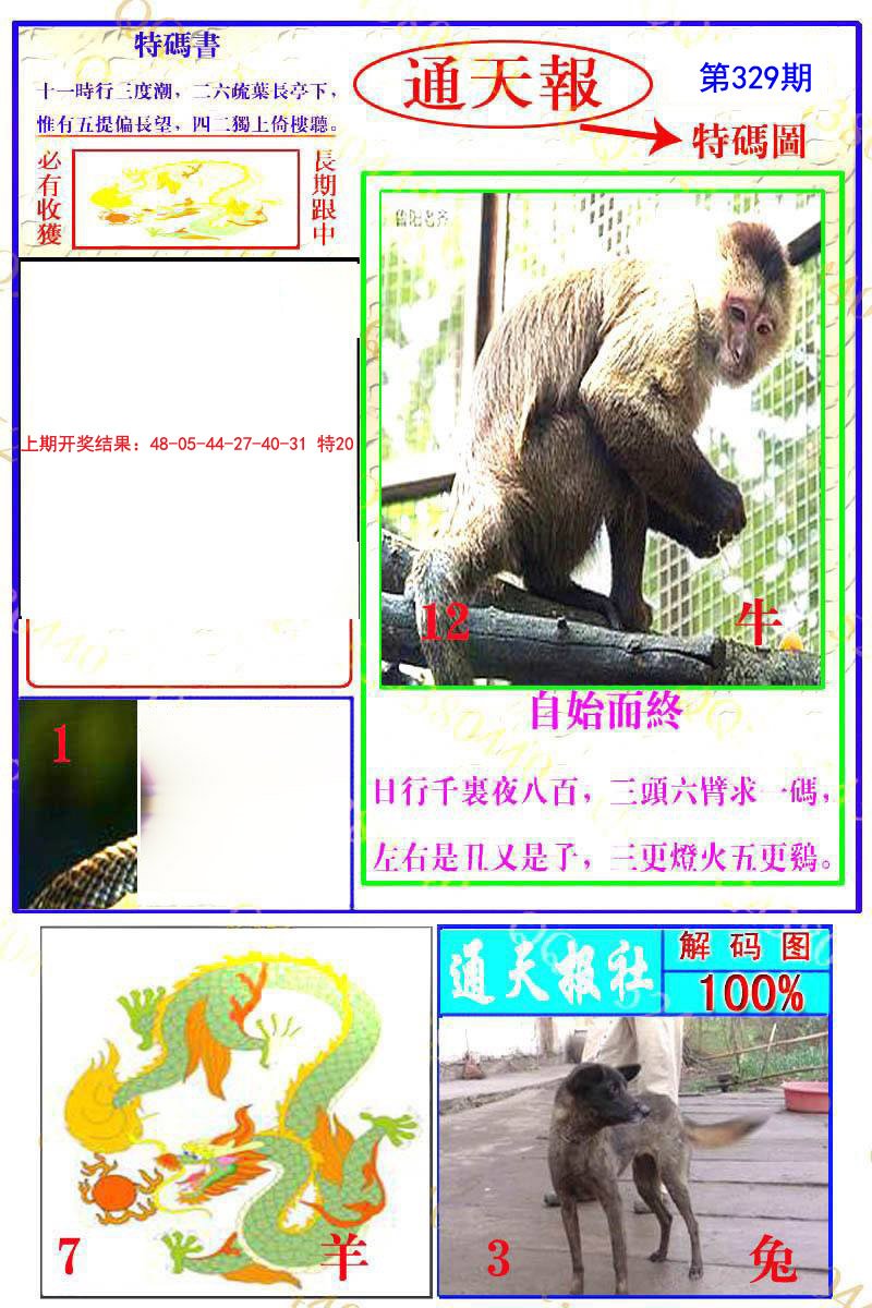 2024329期通天特解图