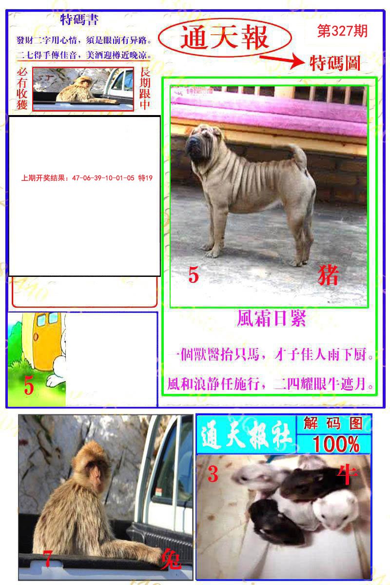 2024327期通天特解图