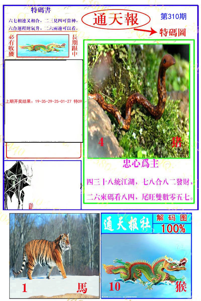 2024310期通天特解图