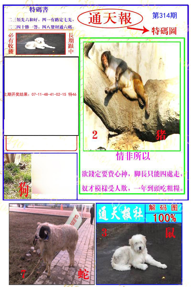2024314期通天特解图
