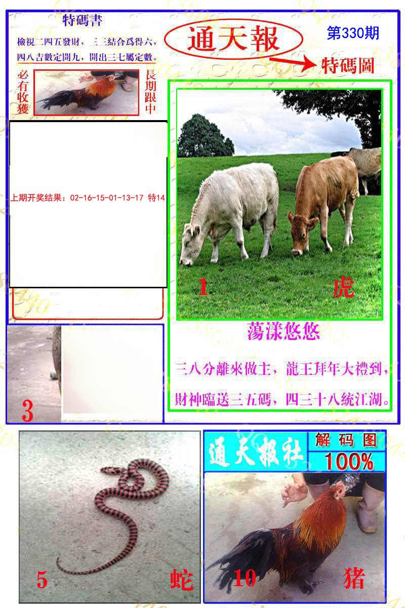 2024330期通天特解图