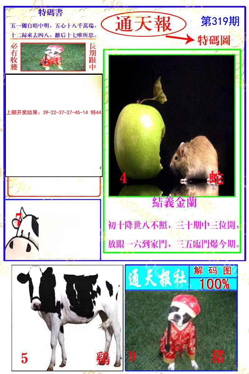 2024319期通天特解图