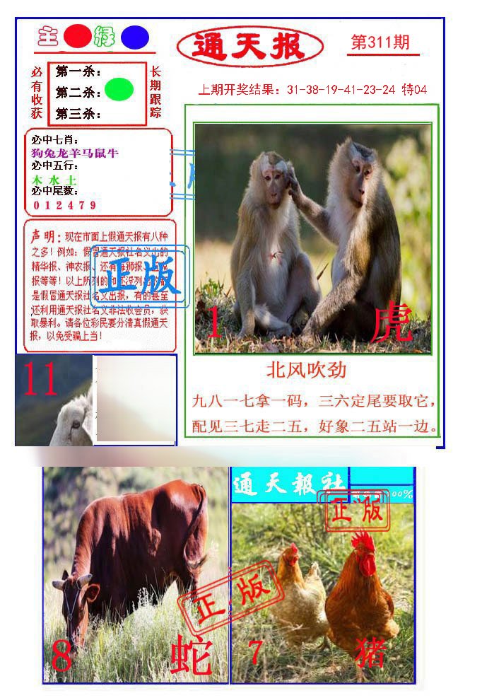 2024311期通天杀波图1
