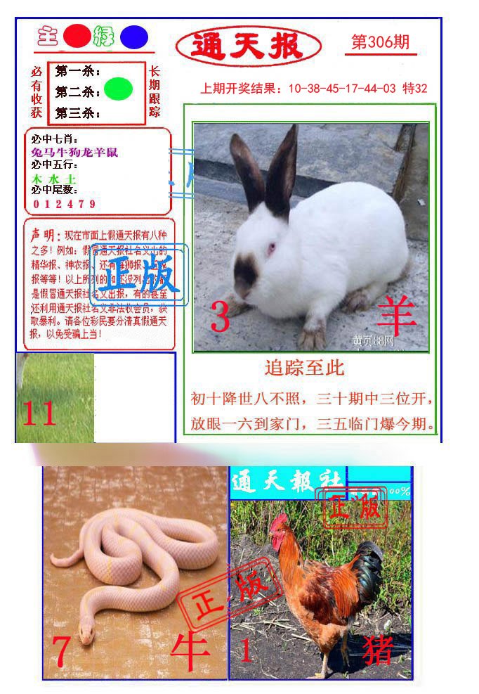 2024306期通天杀波图1
