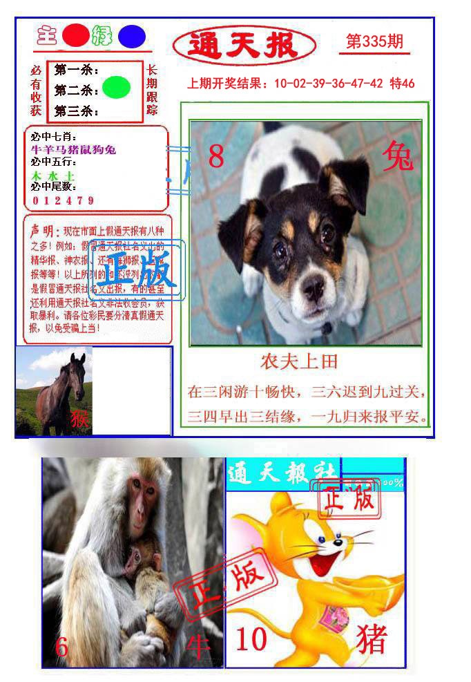 2024335期通天杀波图1