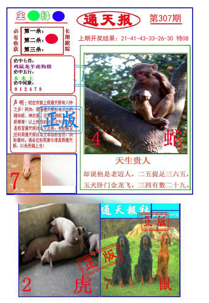2024307期通天杀波图1
