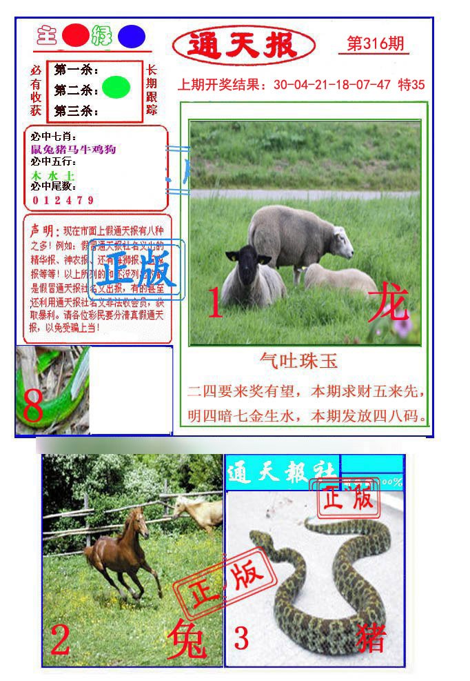 2024316期通天杀波图1