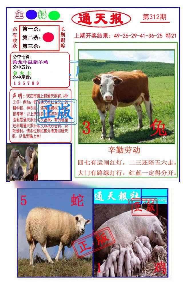 2024312期通天杀波图1
