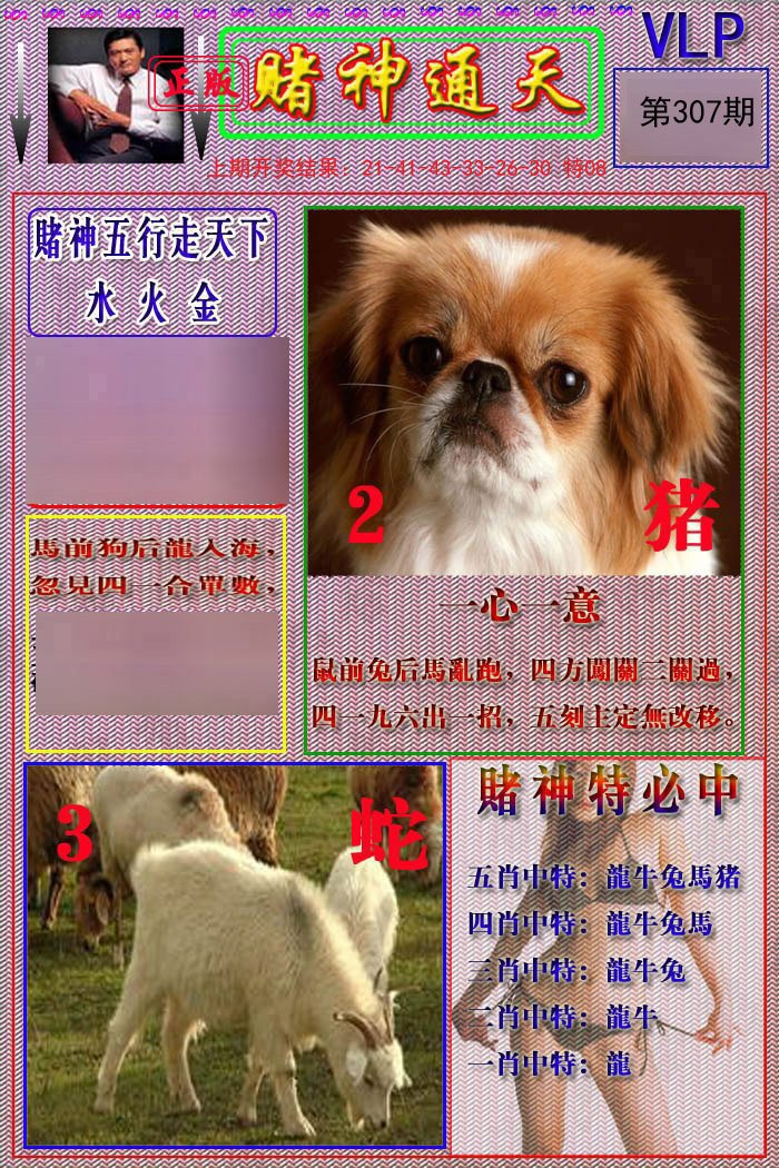 2024307期赌神通天报