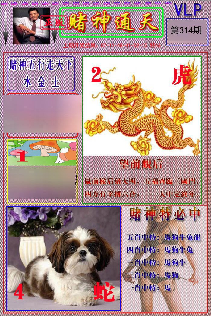 2024314期赌神通天报