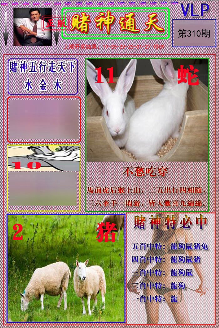 2024310期赌神通天报
