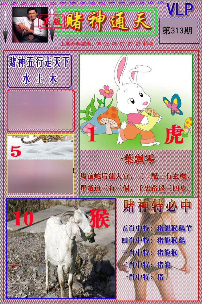 2024313期赌神通天报