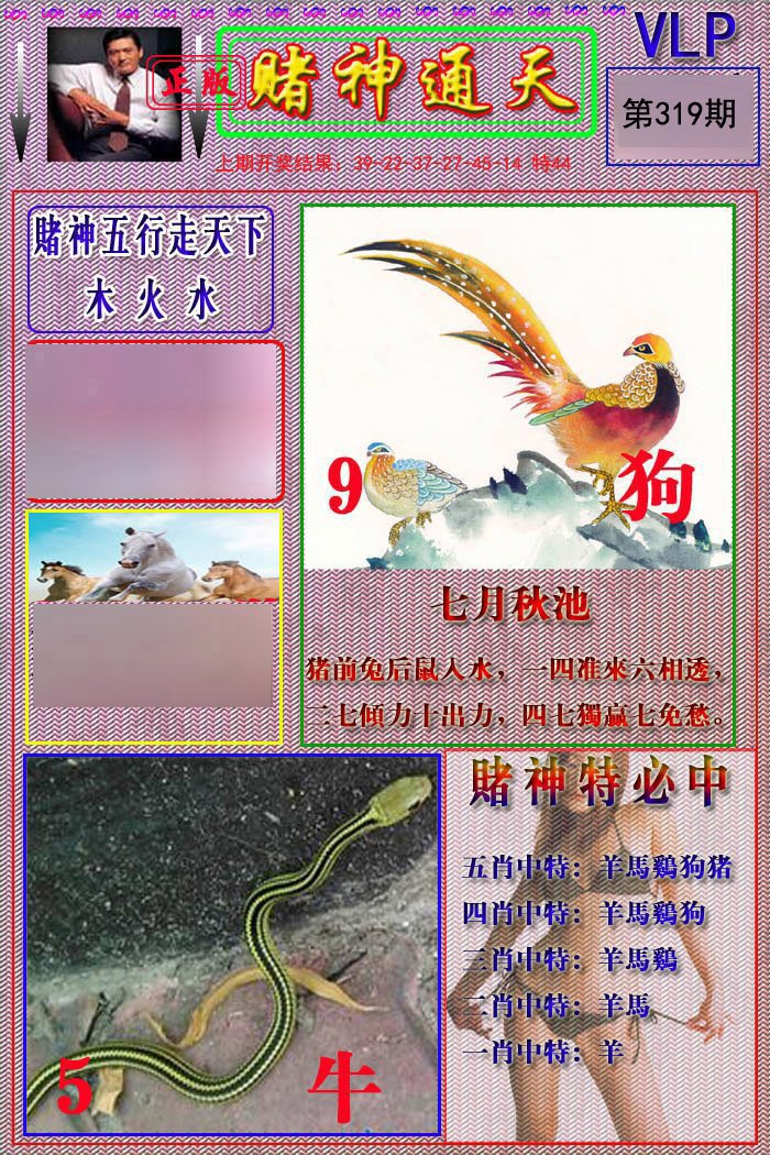 2024319期赌神通天报