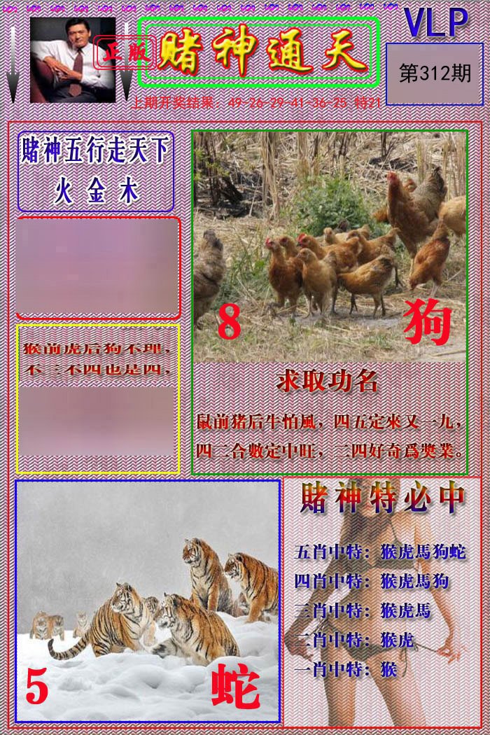 2024312期赌神通天报