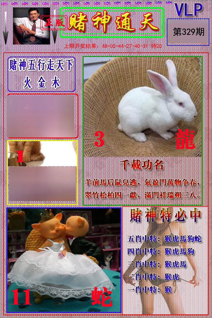 2024329期赌神通天报