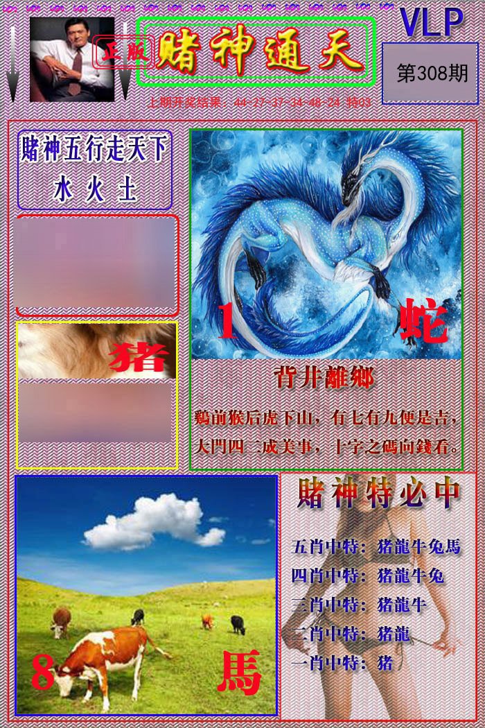 2024308期赌神通天报