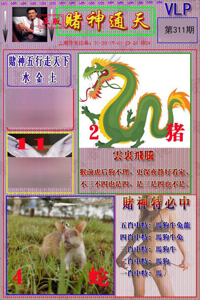 2024311期赌神通天报
