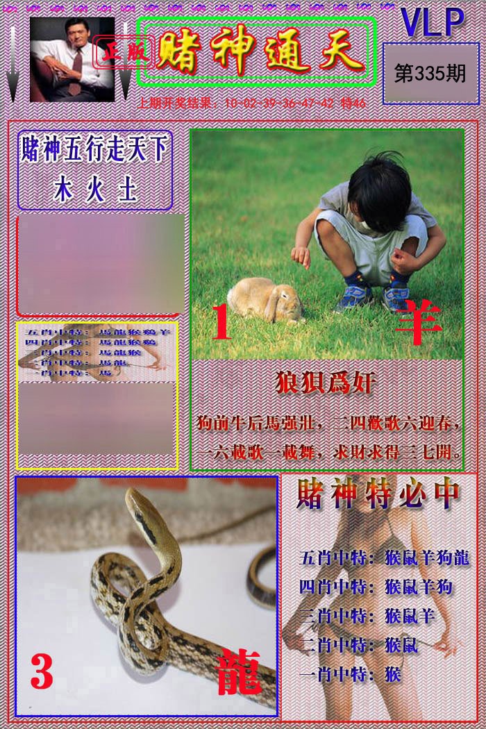 2024335期赌神通天报