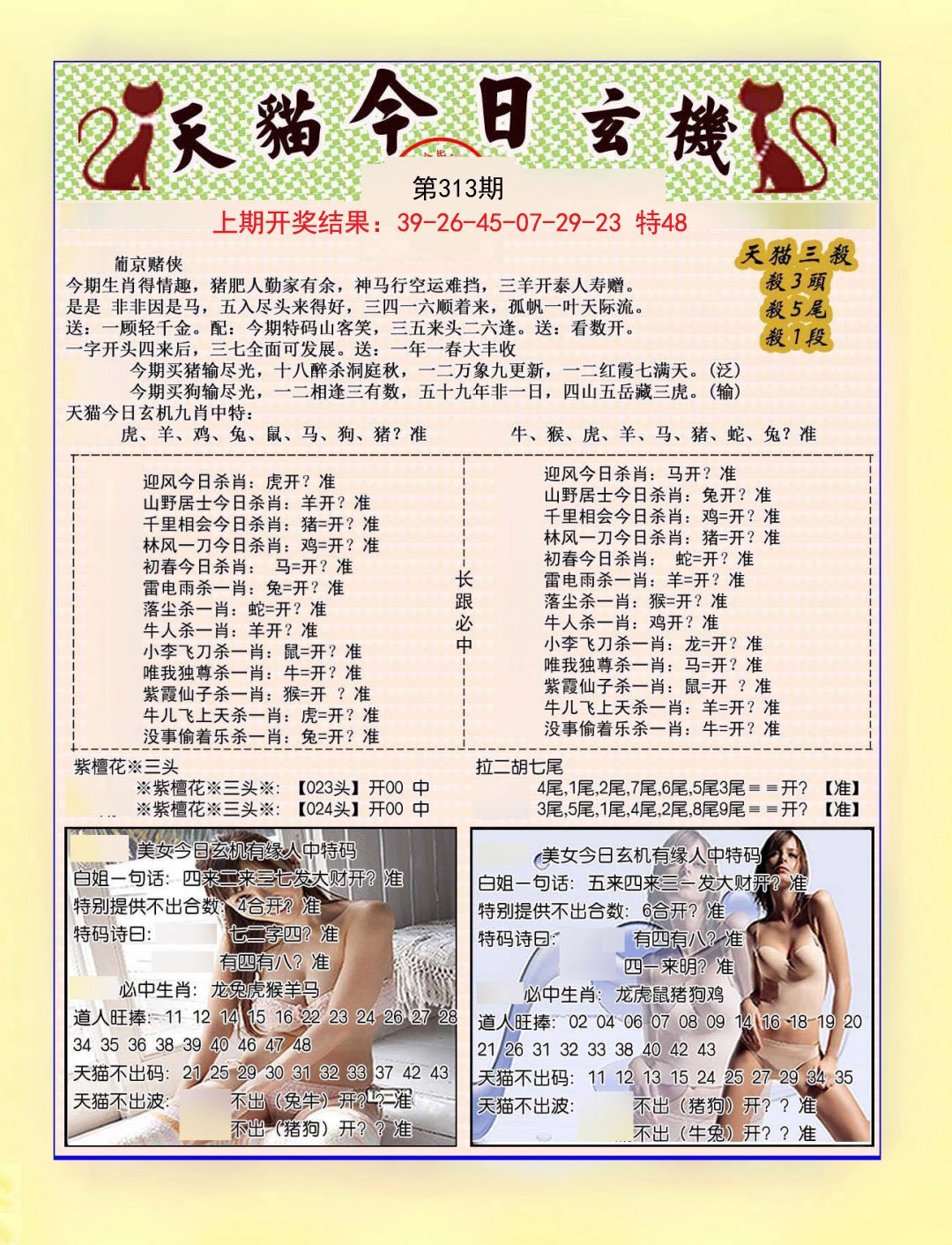 2024313期今日玄机图B