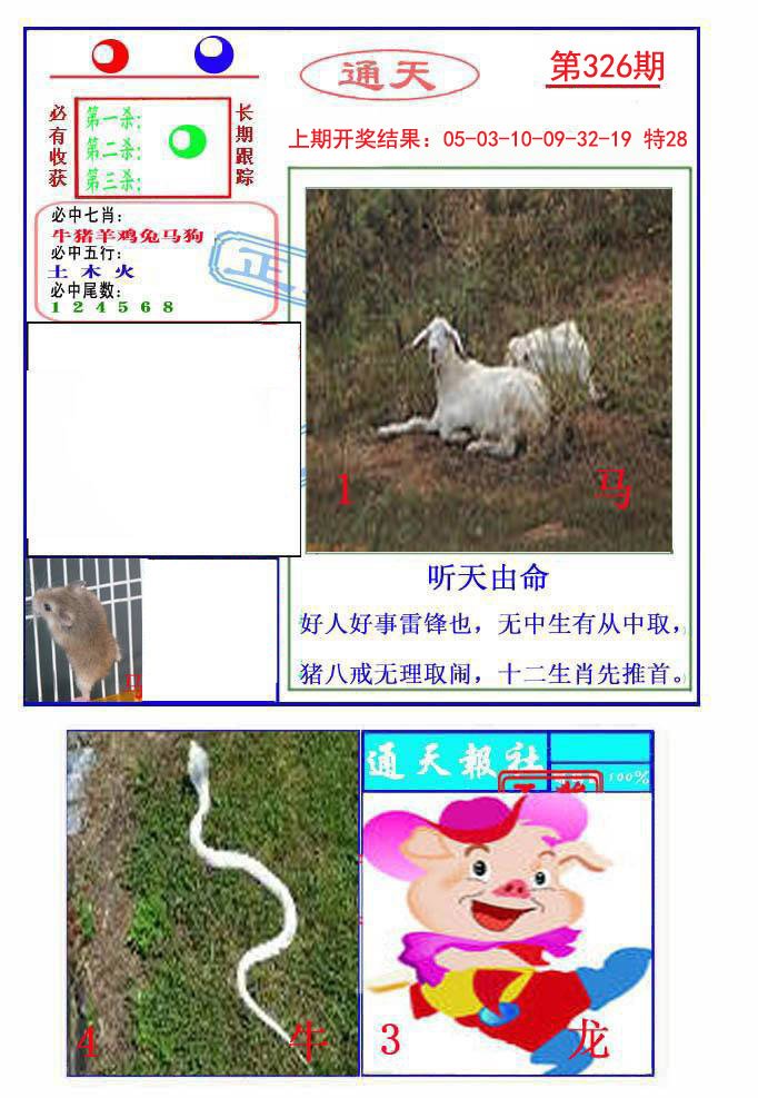 2024326期通天杀波图2