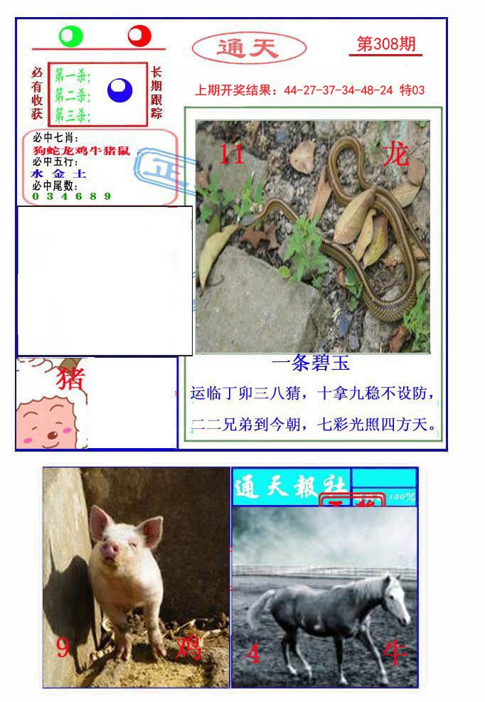 2024308期通天杀波图2
