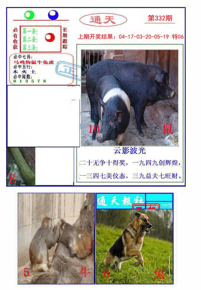 2024332期通天杀波图2