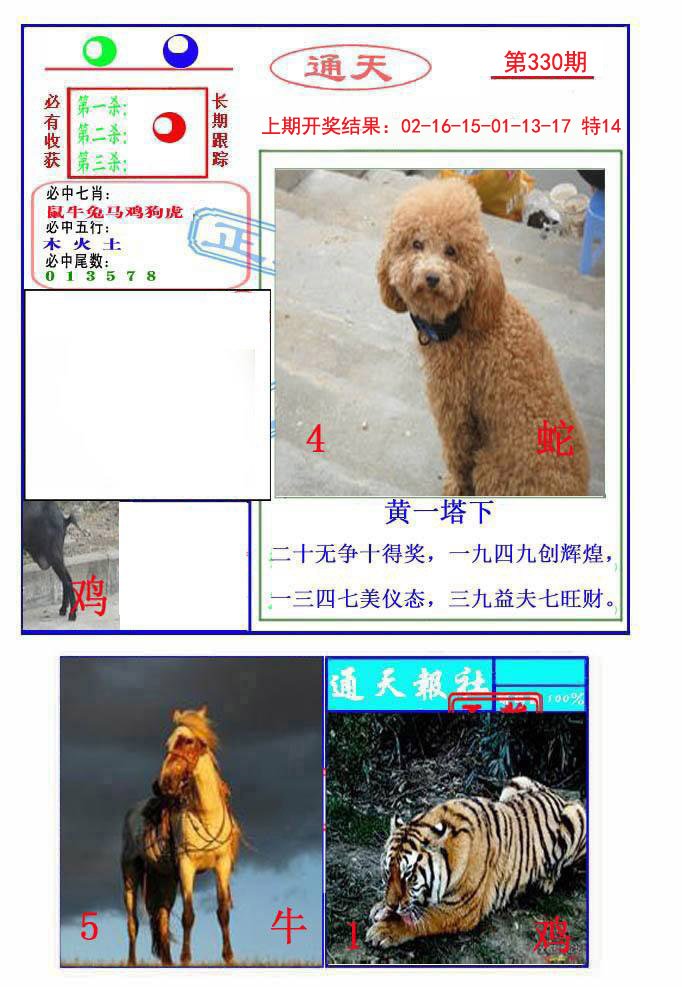 2024330期通天杀波图2