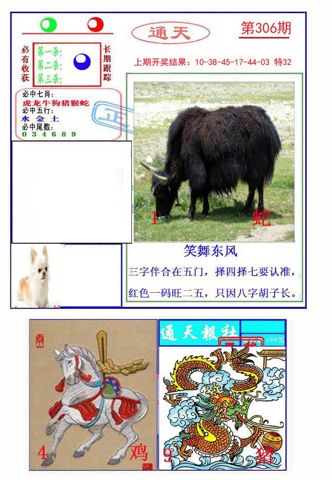 2024306期通天杀波图2